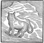 Kansai Bruises (Vinyl)