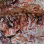 Fauna - Ochre & Ash (CD)