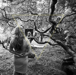 Dao Strom - Tender Revolutions (Vinyl)