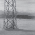 Tacoma Radar - No One Waved Goodbye - White (Vinyl)
