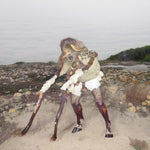 Grumpy* - Piebald (CD)