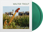Walter Trout - Common Ground (Vinyl)