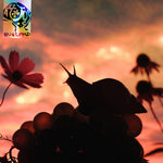 No Joy - Bugland (Vinyl)