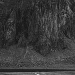 Defacement - Doomed (Vinyl)