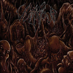 Vulnificus - Inclination (CD)