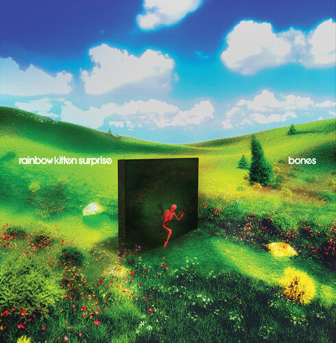 Rainbow Kitten Surprise - Bones (CD)