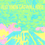 Algernon Cadwallader - Trying Not To Have A Thought (Vinyl)