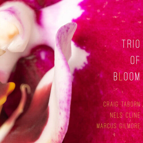 Trio of Bloom - Trio Of Bloom (CD)