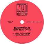 Bushwacka - House Sounds Vol. 2 (Vinyl)