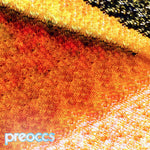 Preoccupations - Mur/ponr (Vinyl)