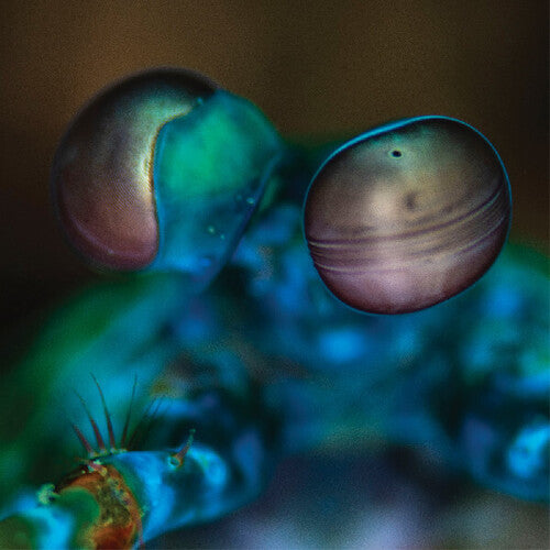 Melvin Gibbs - Amasia: Anamibia Sessions 2 (CD)