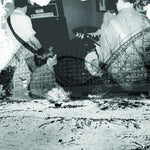 Nuzzle - Follow, for Now (Vinyl)