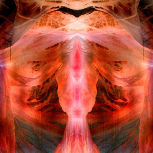 Paul Schutze - The Annihilating Angel; Or, The Surface Of The World (Vinyl)