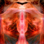 Paul Schutze - The Annihilating Angel; Or, The Surface Of The World (Vinyl)