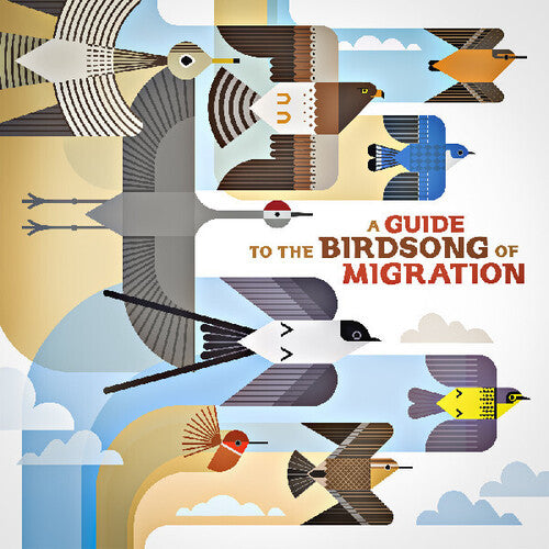 Various Artists - A Guide to the Birdsong of Migration (Various Artists) (Vinyl)