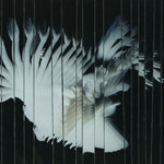 Scaler - Endlessly (CD)