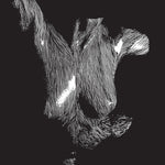 Oceansize - Self Preserved While The Bodies Float Up (Vinyl)