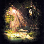 Lucien Balconi - Saw The Feeling In The Heart Of Things (CD)