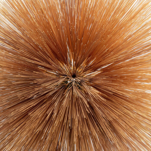 Patricia Brennan - Of The Near And Far (CD)