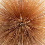 Patricia Brennan - Of The Near And Far (CD)