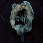 Initiatrix (Vinyl)