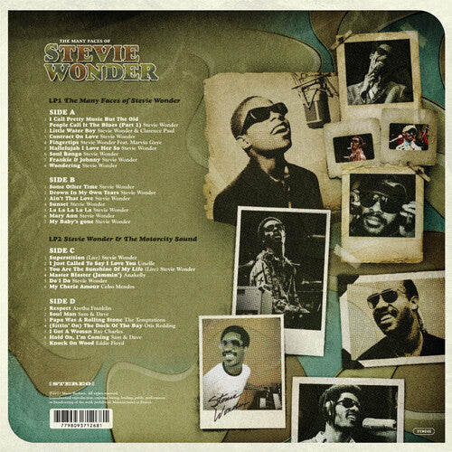 Many Faces Of Stevie Wonder / Various - Brown Vinyl (Vinyl)