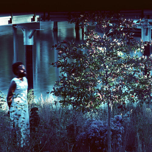 Jjjjjerome Ellis - Vesper Sparrow (Vinyl)