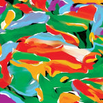 the album cover for Auntie Flo - Birds Of Paradise