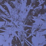 the album cover for Plants Heal - Forest Dwellers