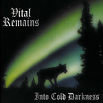 the album cover for Vital Remains - Into Cold Darkness (Aniv)