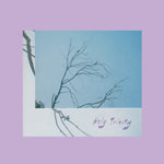 the album cover for Laura Altman - Holy Trinity