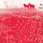 the album cover for Roger Webb - Like A Friend