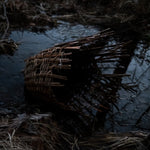 the album cover for Massimo Silverio - Surtum