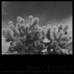 the album cover for Derek Monypeny/ Corcoran,Kevin - Abacomancy