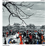 the album cover for Bobo & Behaja - Aia Haja