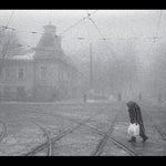 the album cover for Vadim Neselovskyi - Perseverantia