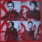 Fall Out Boy : Save Rock And Roll (2x10", Album, Red)
