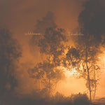 the album cover for Watchhouse - Blindfaller