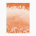 the album cover for Brad RoseE - Sound Leaves