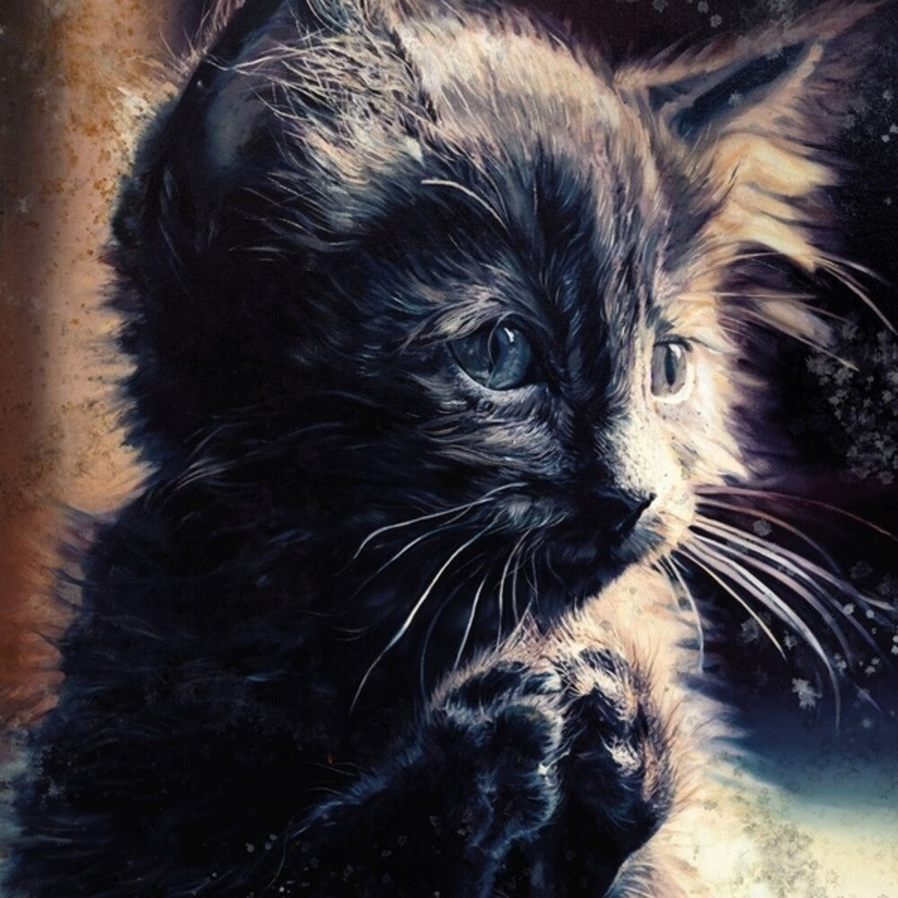 the album cover for Perzeptiver Dampfkessel Qualmt Besinnlich - Pussy Disco