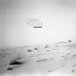 the album cover for Tamikrest - Assikel