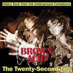 the album cover for Brown Acid - Twenty-Second Trip / Various - Brown Acid - The Twenty-Second Trip (Various Artists)