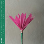 the album cover for Kiri Ra - Nen