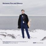 the album cover for Munk-David Nielsen - Between Fire & Silence