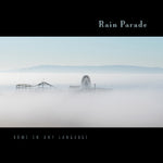 the album cover for Rain Parade - Home In Any Language
