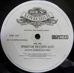 Sly & Lovechild : Spirit Of Destiny (12")