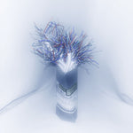 the album cover for Cd Ghost - When The Rain Stops