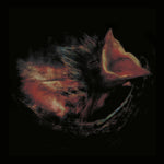 the album cover for Gurriers - Nobody's Coming To Save You