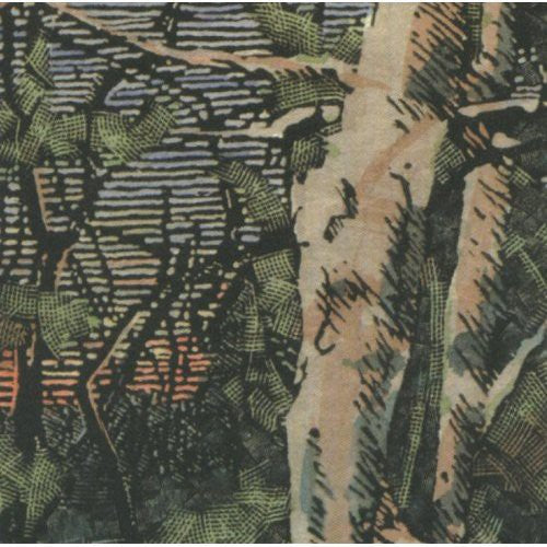 the album cover for Anomoanon - Asleep Many Years in the Wood