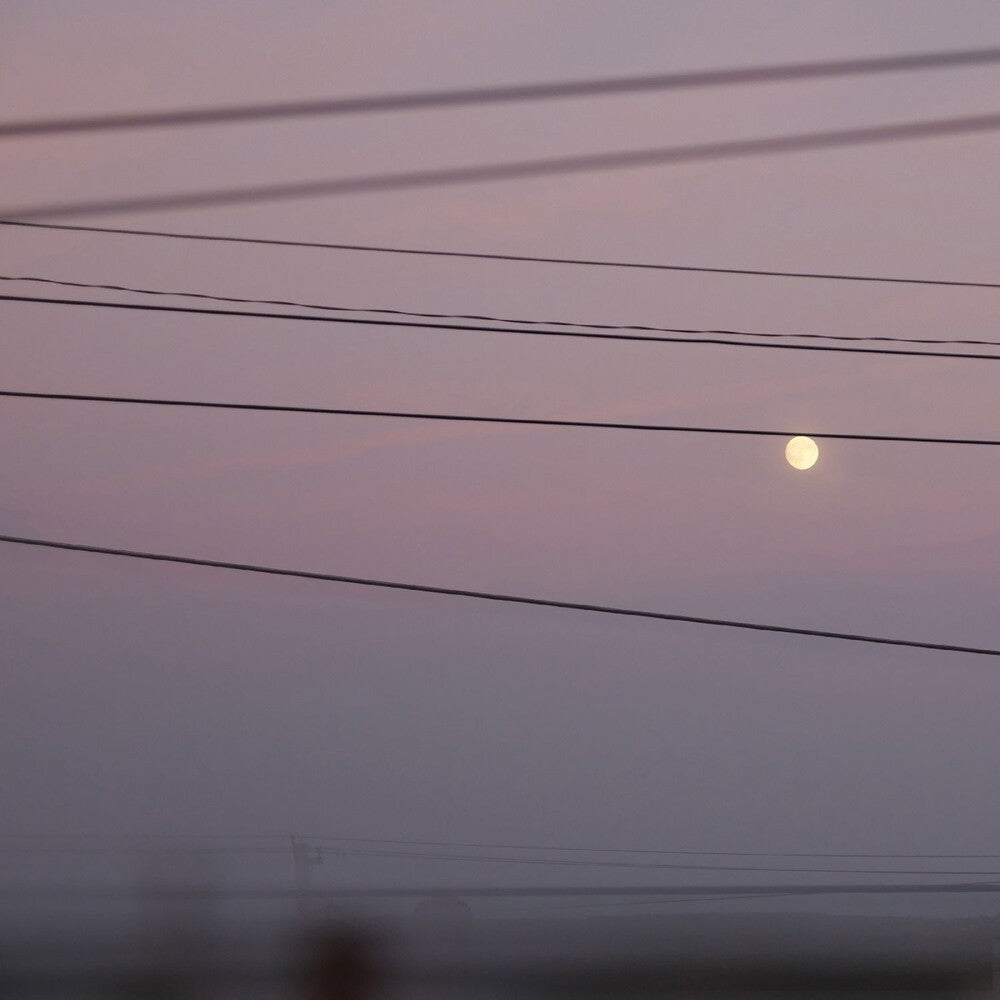 the album cover for Michael DawsonScott - Long Slow Distance